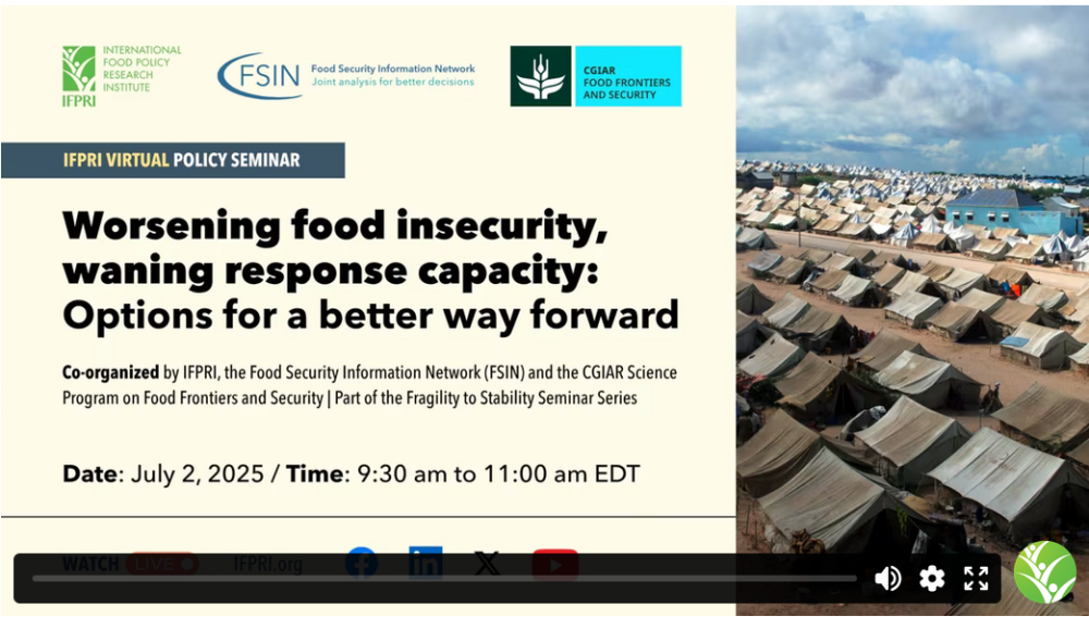 Worsening food insecurity, waning response capacity: Options for a better way forward