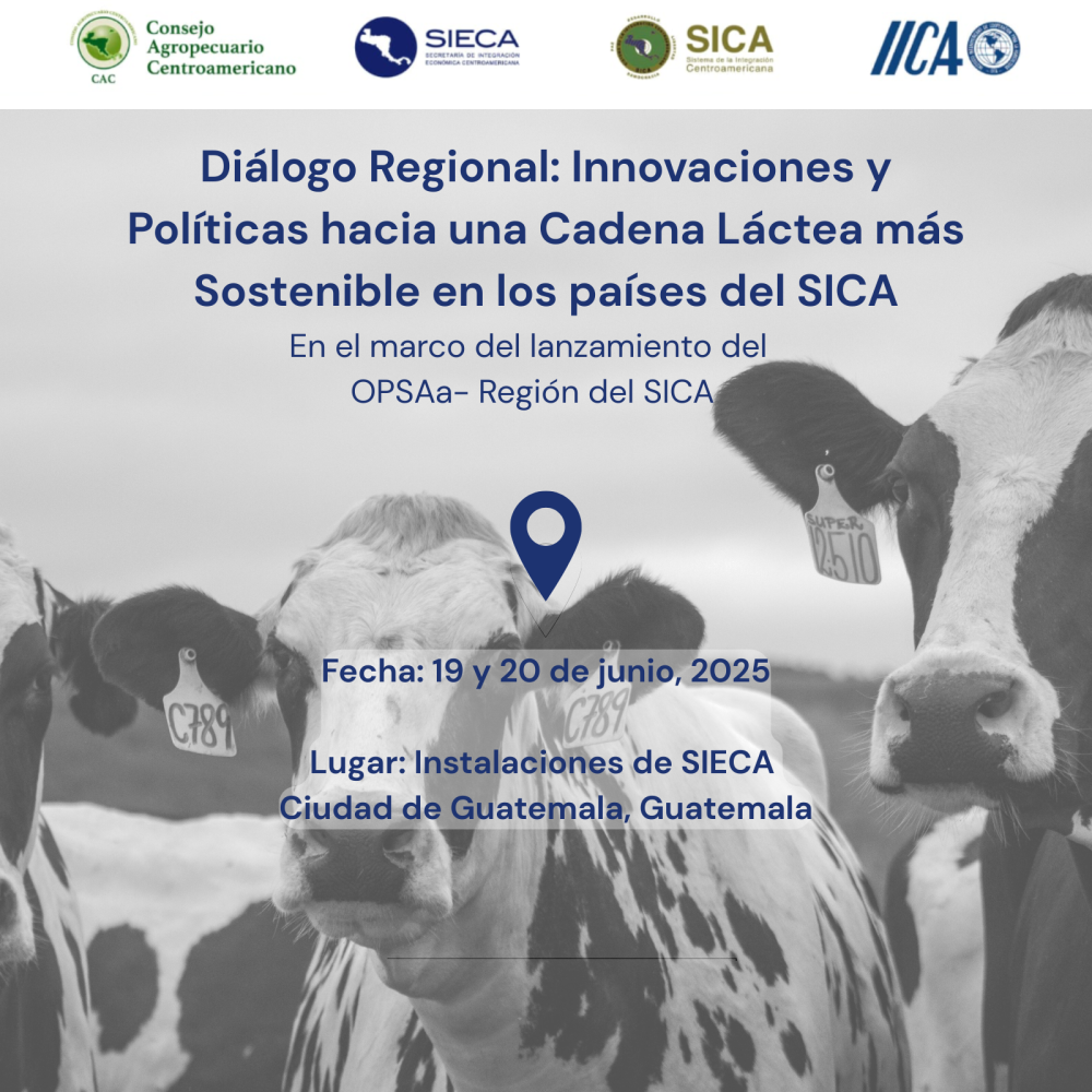 Diálogo Regional: Innovaciones y Políticas hacia una Cadena Láctea más Sostenible en los países del SICA