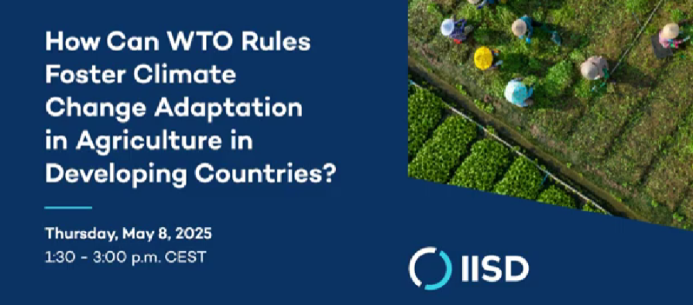 How can WTO rules promote climate change adaptation in agriculture in developing countries?