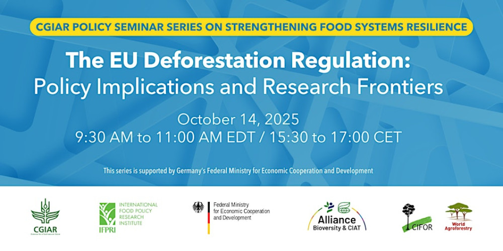 The EU Deforestation Regulation: Policy Implications and Research Frontiers