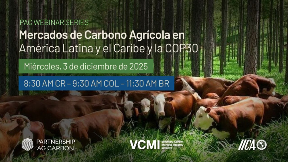 Los mercados de carbono agrícola en América Latina y el Caribe y la COP30