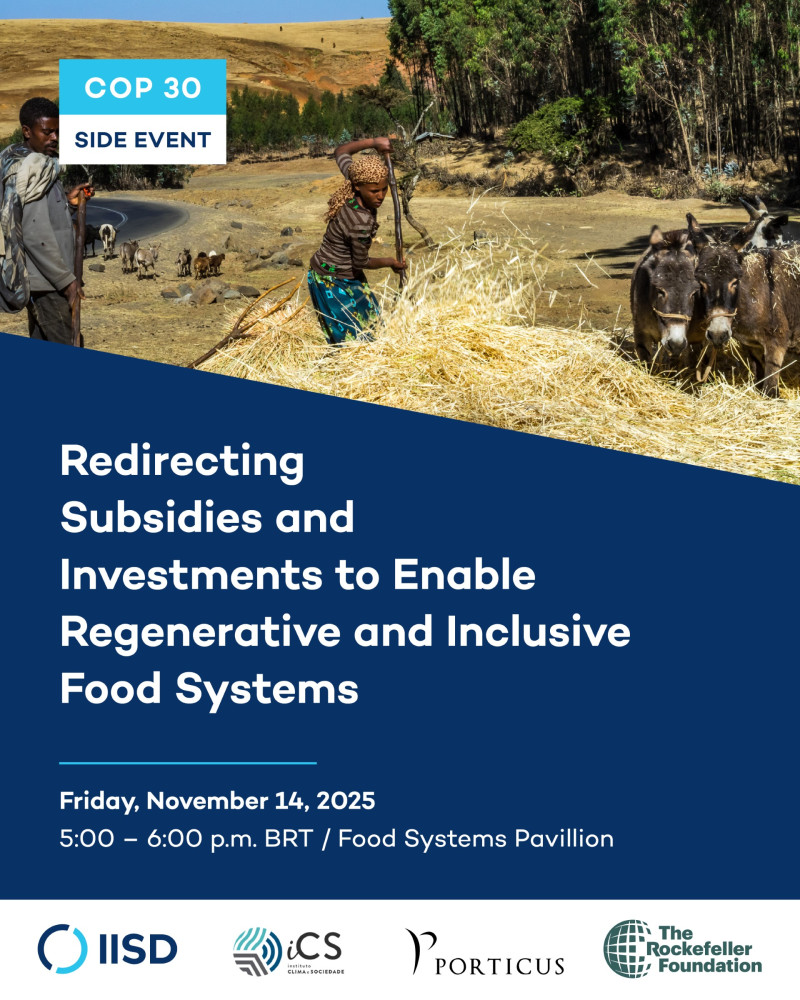 Evento paralelo de la COP 30 | Reorientación de subsidios e inversiones para posibilitar sistemas alimentarios regenerativos e inclusivos