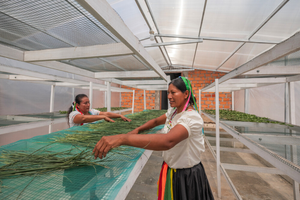 Lanzamiento de Publicación: Financiamiento de Adaptación - Construyendo el Caso de Inversión en COP30
