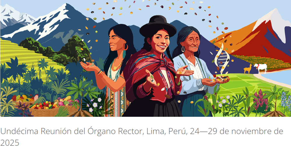 XI reunión del Órgano Rector del Tratado Internacional sobre los Recursos Fitogenéticos para la Alimentación y la Agricultura (TIRFAA).