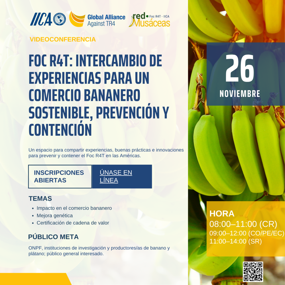 Foc R4T: Intercambio de Experiencias para la Prevención, Contención y Sostenibilidad del Comercio Bananero”