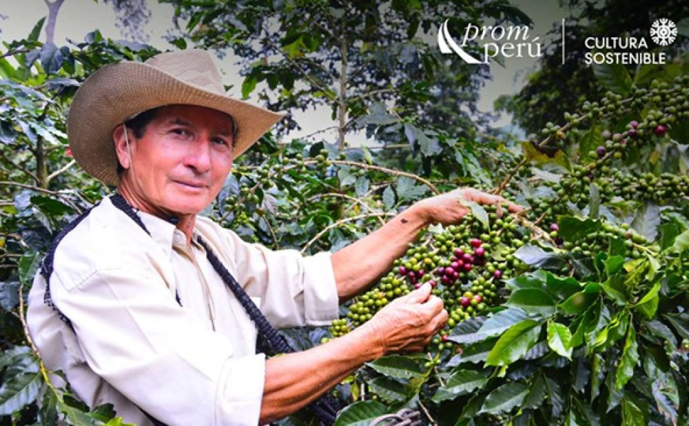 CalCafé: The tool to measure and improve environmental impact in the coffee value chain