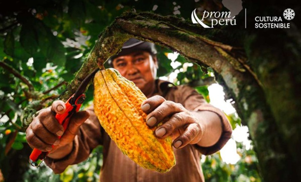 CalCacao: The tool to measure and improve environmental impact in the cocoa value chain