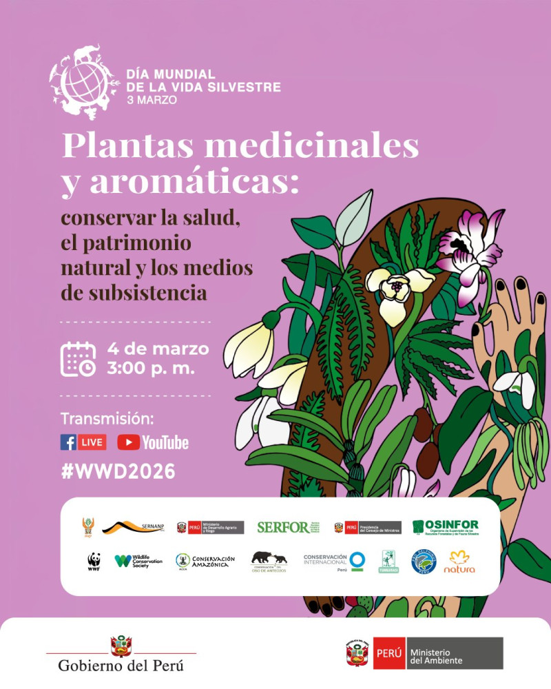 Plantas medicinales y aromáticas: conservar la salud, el patrimonio natural y los medios de subsistencia