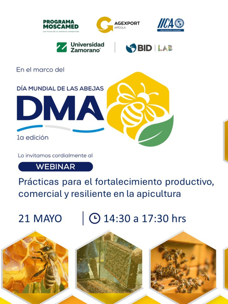 Prácticas para el fortalecimiento productivo, comercial y resiliente en la apicultura