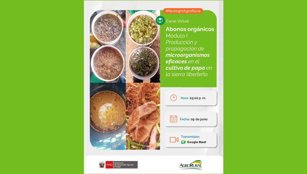 Abonos Orgánicos - Módulo I: Producción y propagación de microorganismos eficaces en el cultivo de papa en la Sierra Liberteña (Perú)