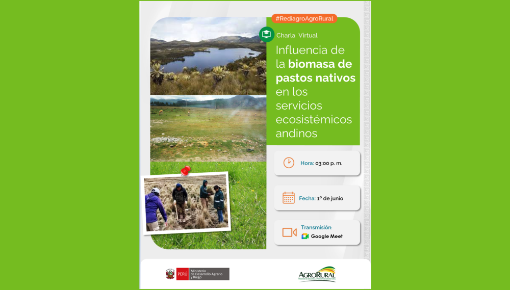 Influence of native grass biomass on Andean ecosystem services
