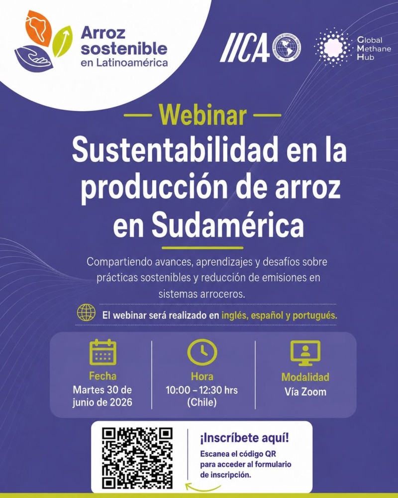Sustentabilidad en la Producción de Arroz de Sudamérica