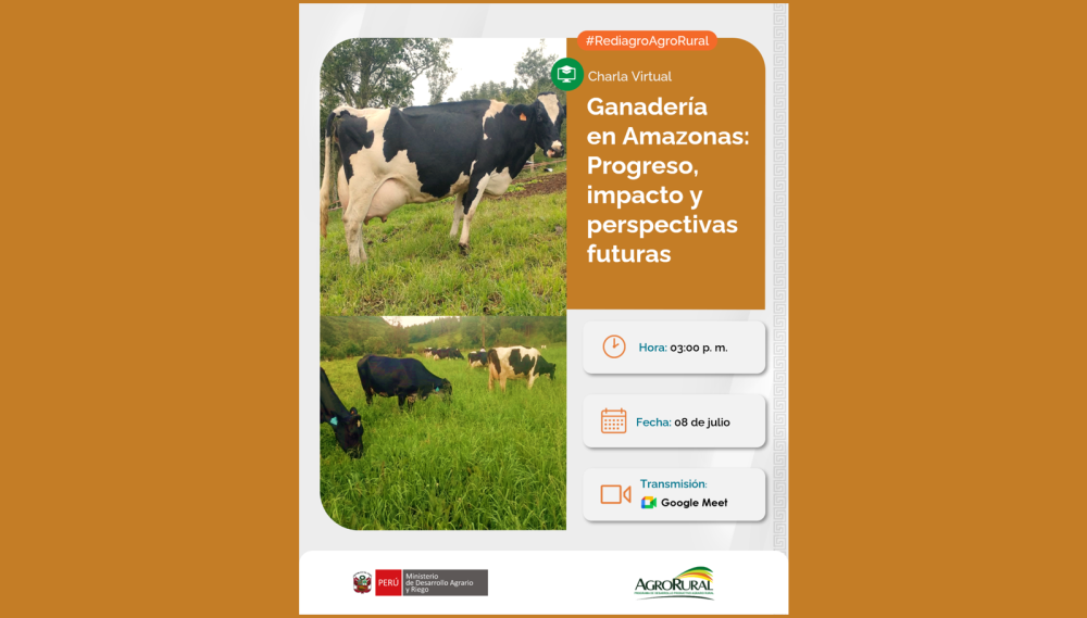 La ganadería en Amazonas: progreso, impacto y perspectivas futuras