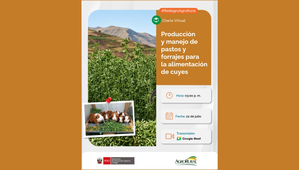 Producción y manejo de pastos y forrajes para la alimentación de cuyes