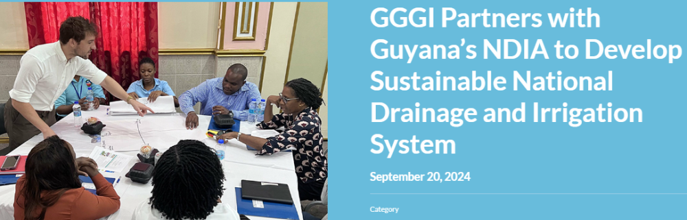 Strategic Planning Workshop for the National Drainage and Irrigation Strategy (NDIS) 2030