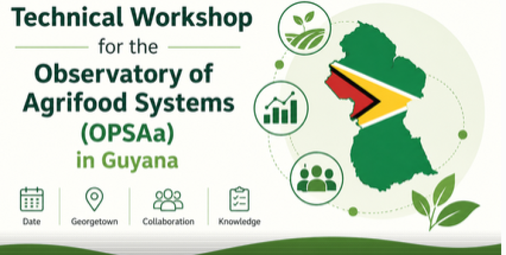 Technical Workshop for the Observatory of Agrifood Systems (OPSAa) in Guyana