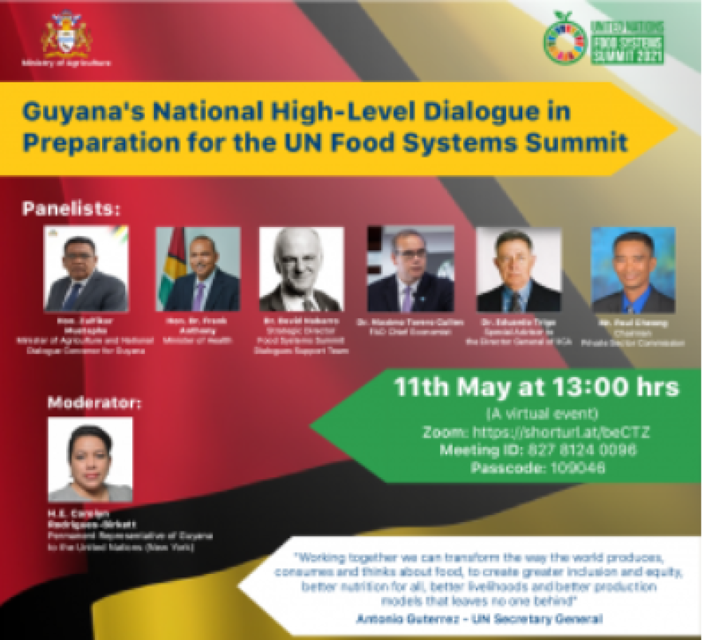 Guyana’s National High-Level Dialogue in preparation for the UN Food Systems Summit