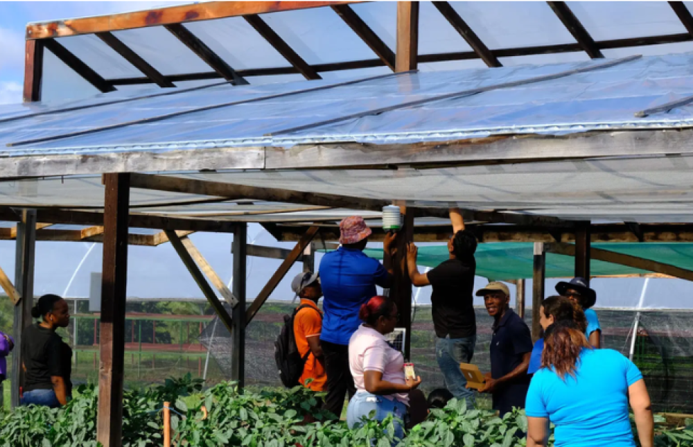Integrated Crop Production Management and Digital Sensor Systems under Protected Cultivation