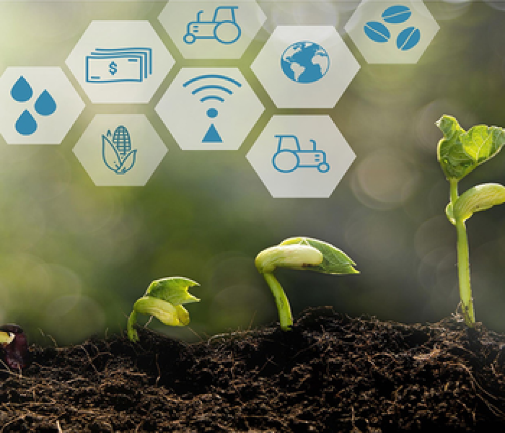 AgroAPI Platform
