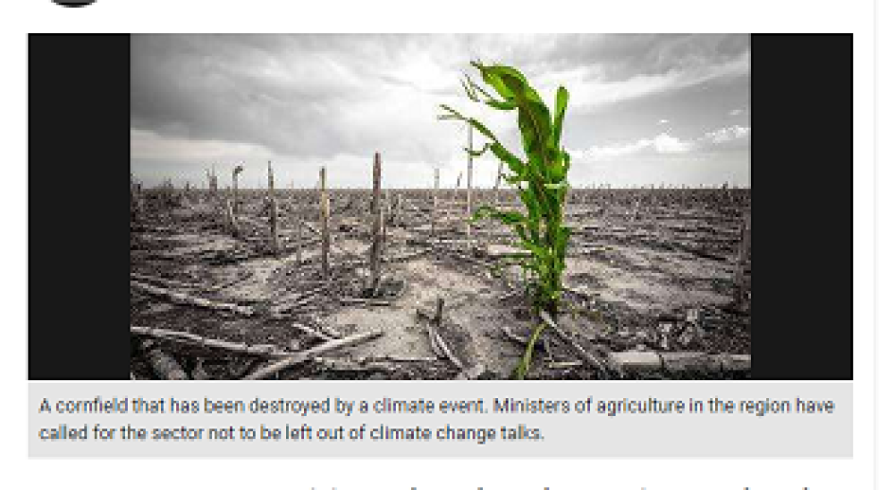 Incluir la agricultura en las negociaciones climáticas