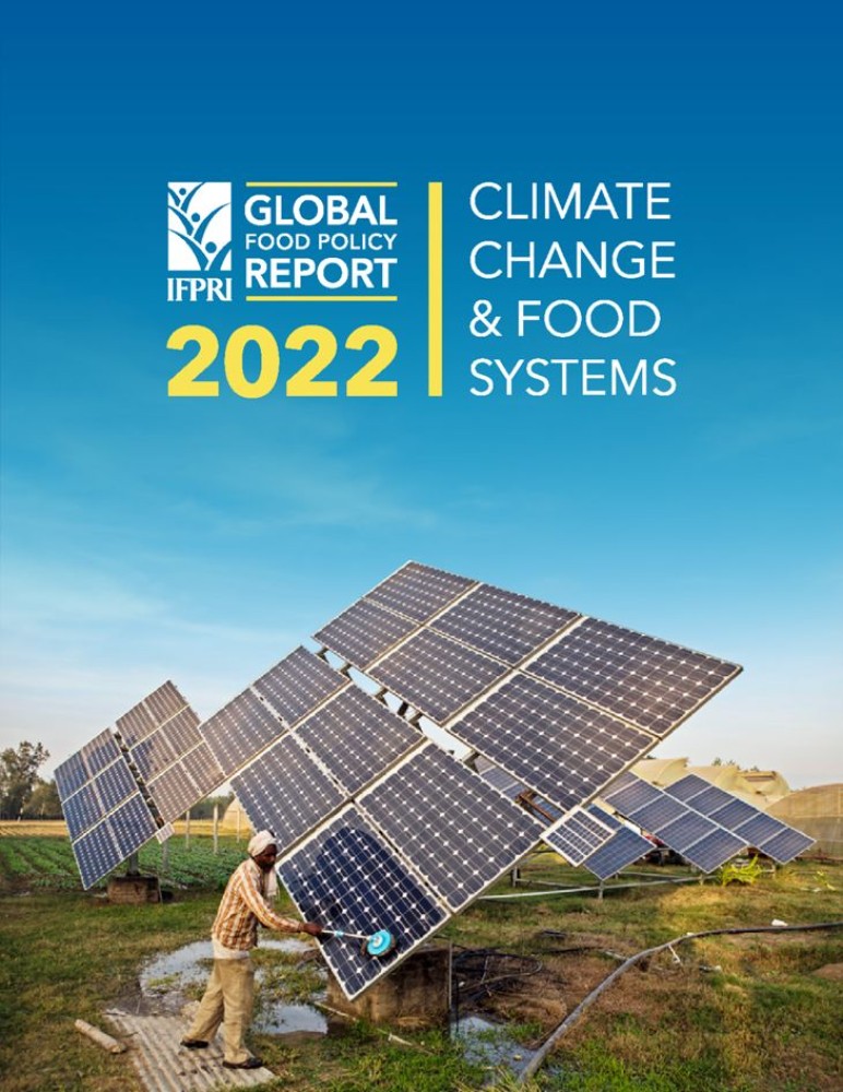 World Food Policy Report 2022: Climate Change and Food Systems