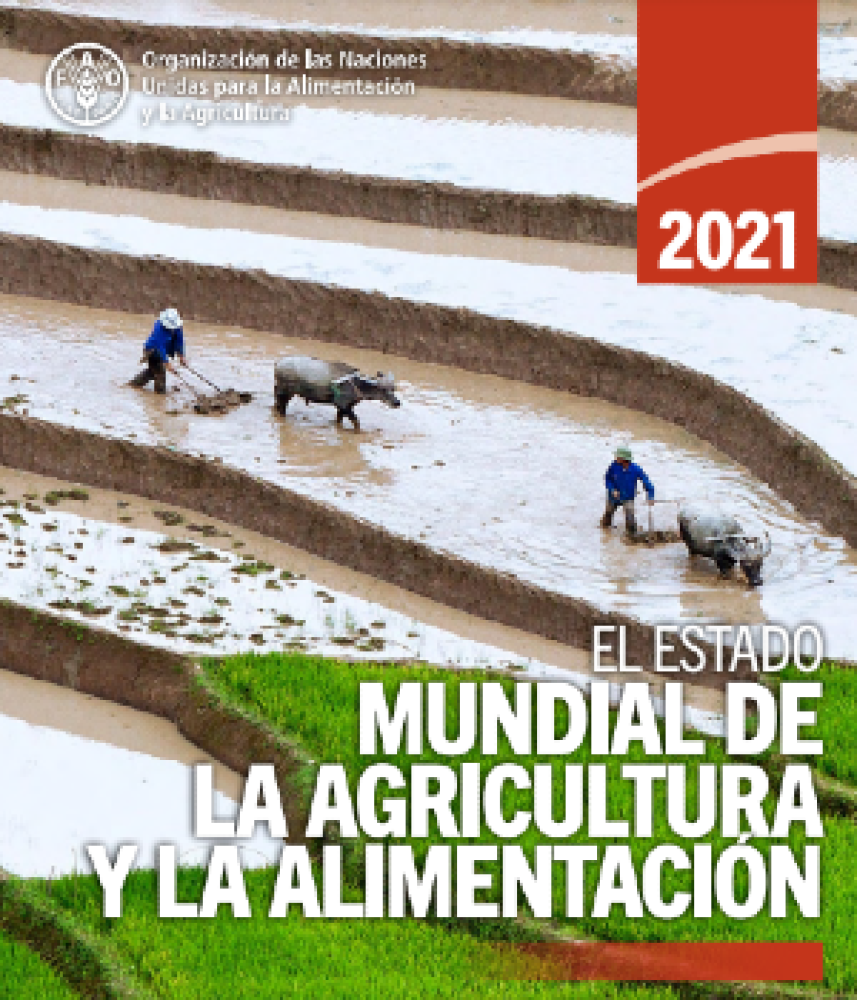 El Estado Mundial de la Agricultura y la Alimentación 2021: Lograr que los sistemas agroalimentarios sean más resilientes a las perturbaciones y tensiones