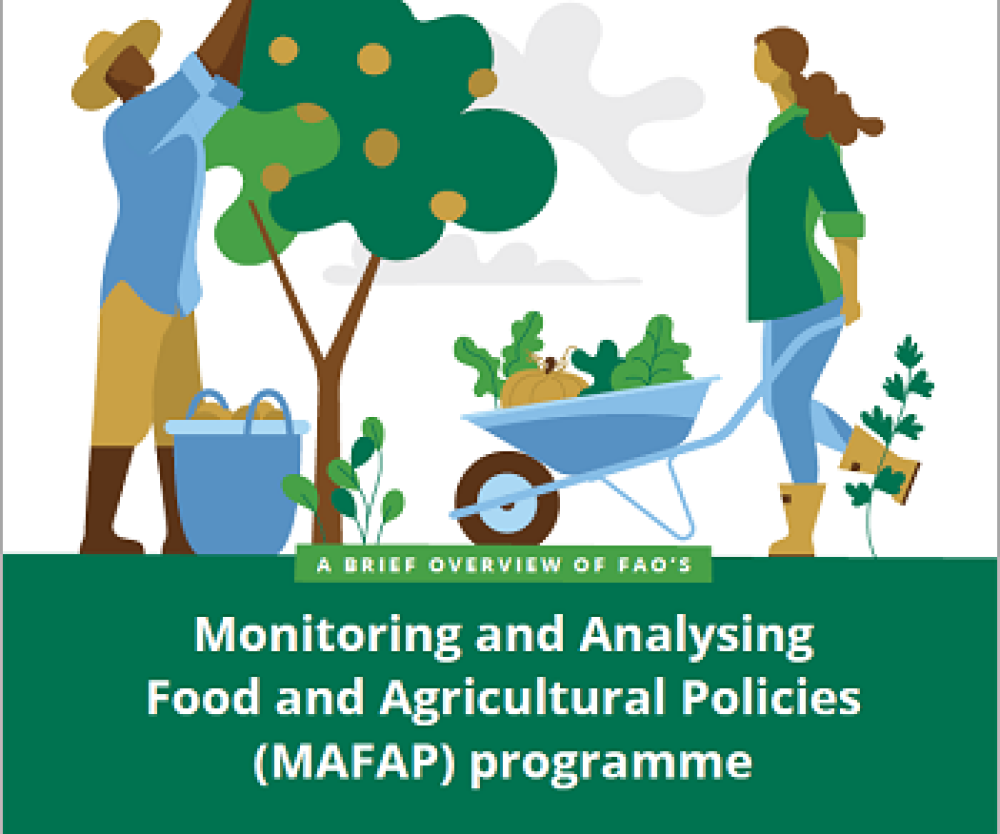 MAFAP: Monitoring and Analysing Food and Agricultural Policies programme