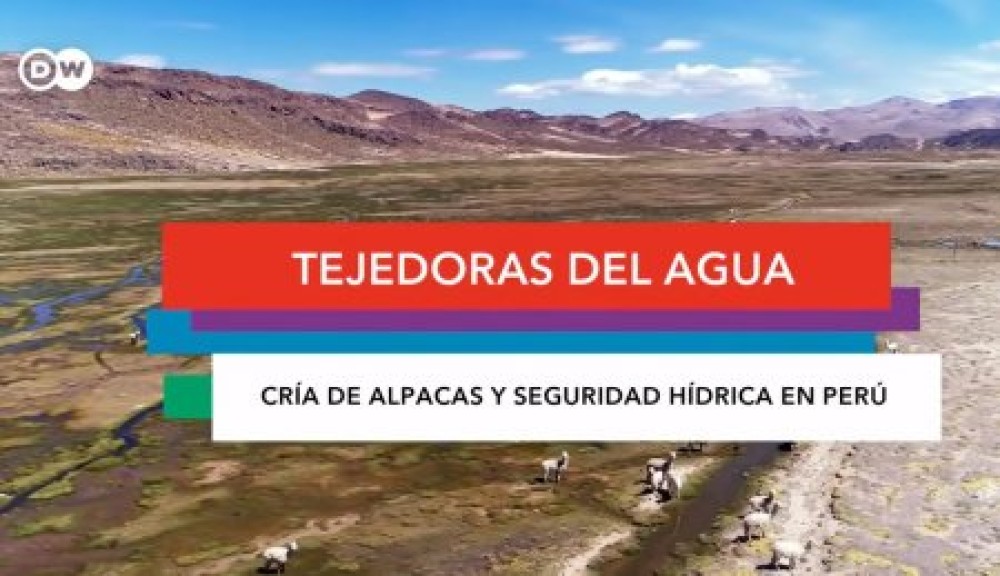 Cría de alpacas y seguridad hídrica en Perú