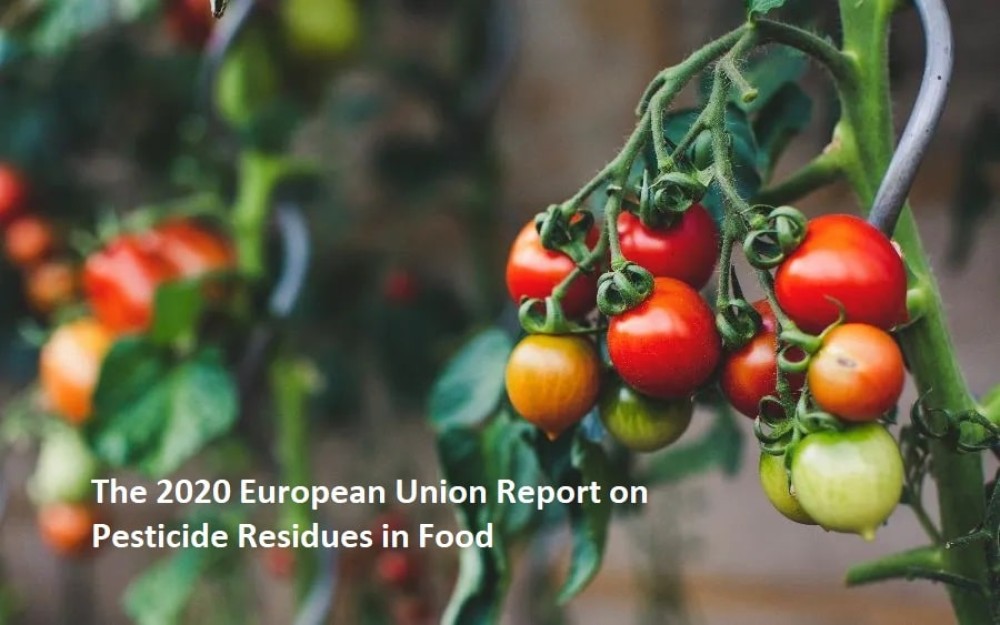 Informe de la Unión Europea de 2020 sobre residuos de plaguicidas en los alimentos