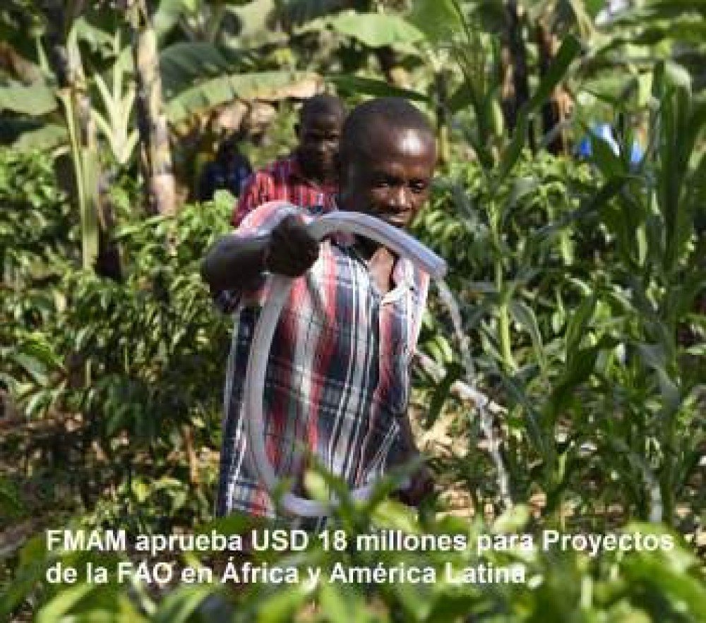 FMAM aprueba 18 millones de USD para proyectos de la FAO en África y América Latina