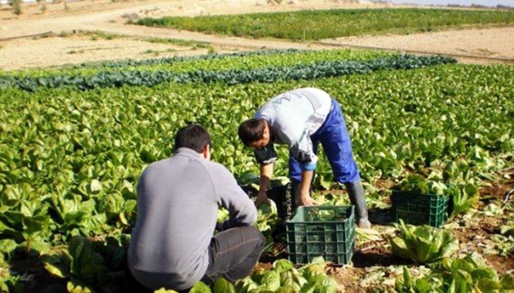 Fomento de capacidades y acceso al mercado para pequeños productores