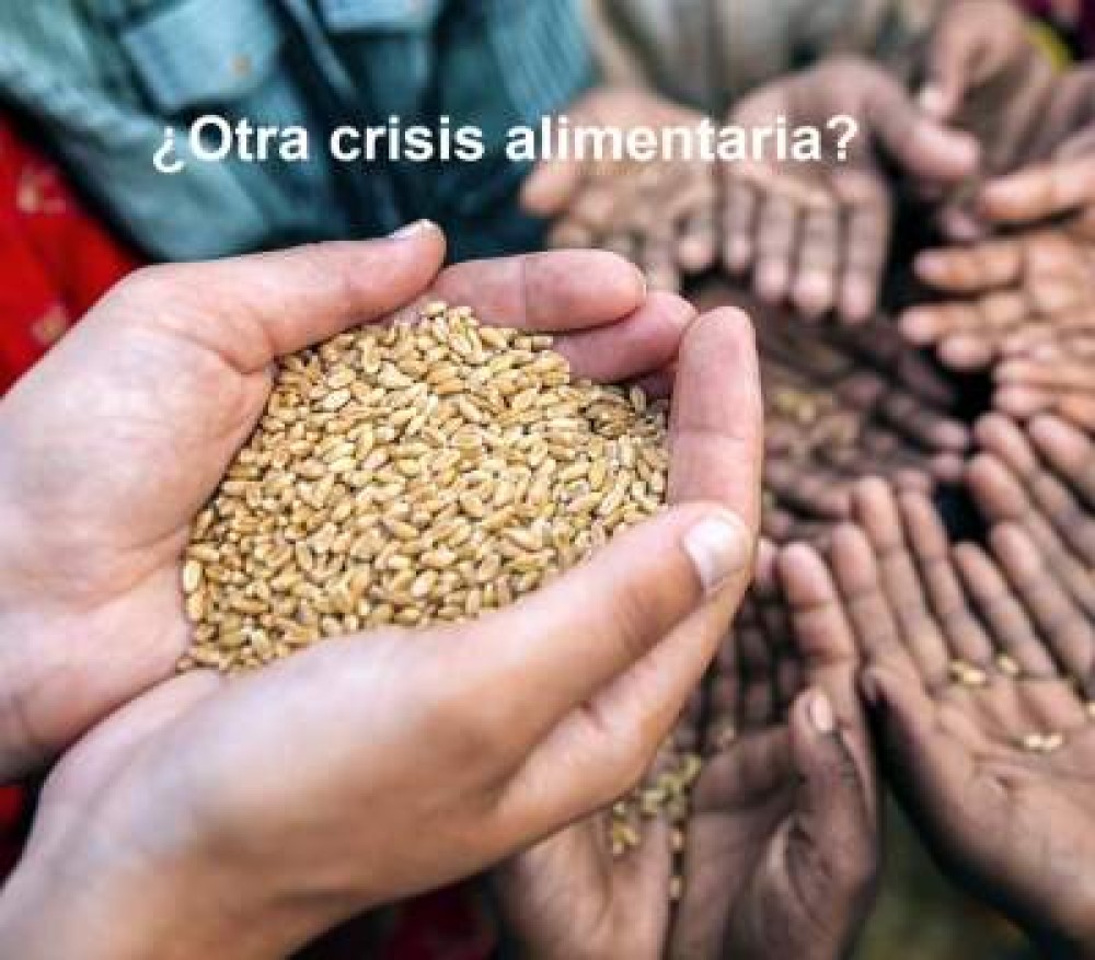 Another food crisis? The Ukraine conflict, global wheat supply and food security