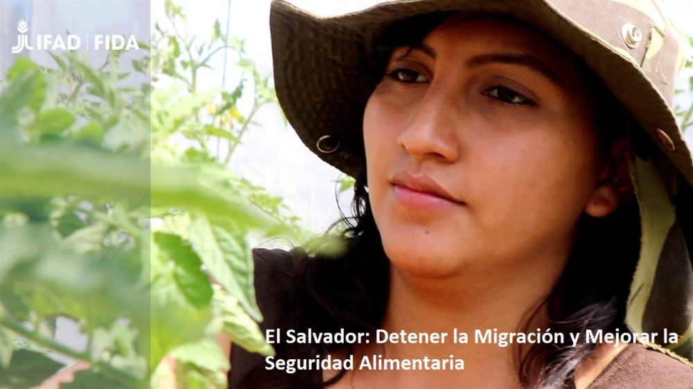 El Salvador: Detener la emigración y mejorar la seguridad alimentaria