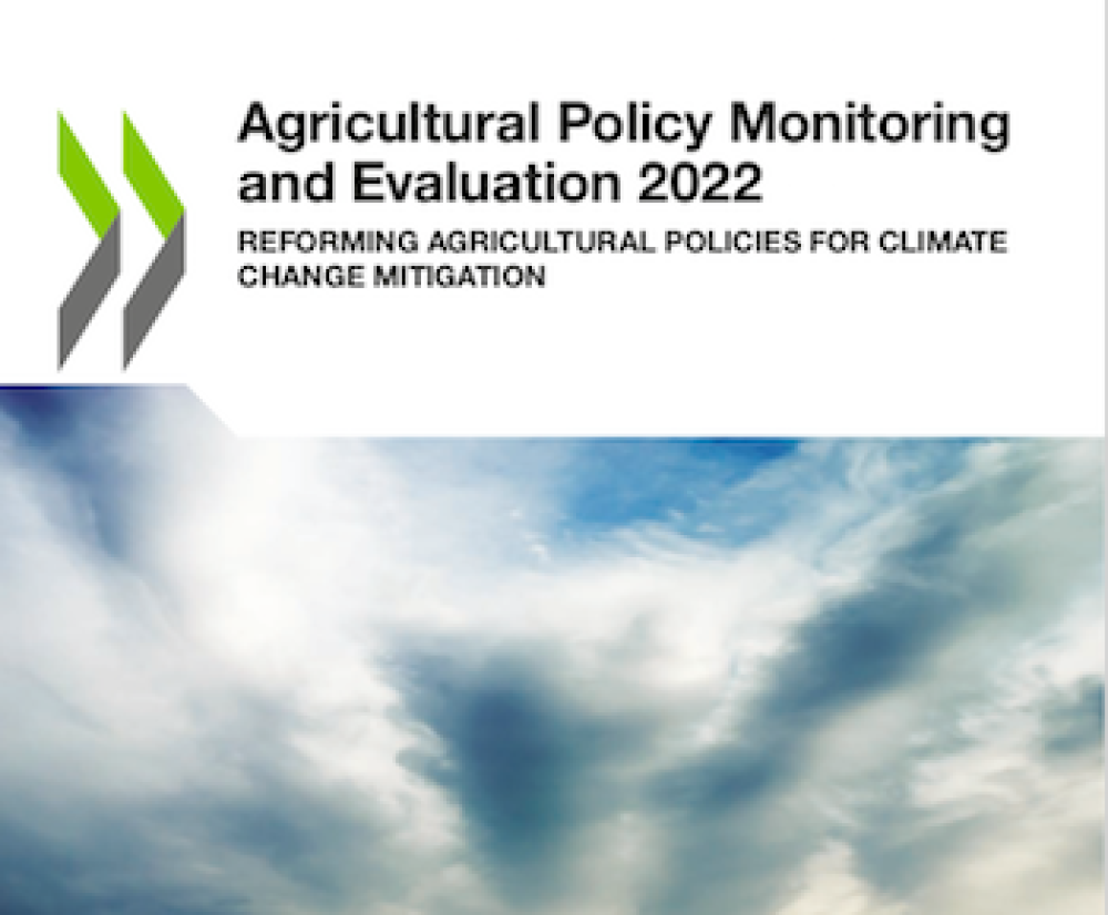 Support for agriculture increased in response to global crises, and reforms to combat climate change and market distortions are still essential.