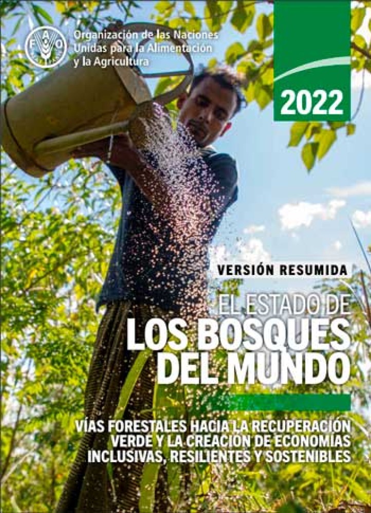 Versión resumida de El Estado de los Bosques del Mundo 2022