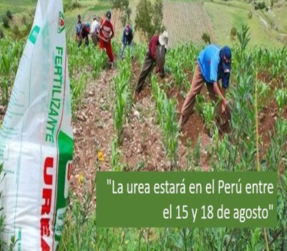 Ministro de Desarrollo Agrario: -La Urea estará en el Perú entre el 15 y 18 de agosto-
