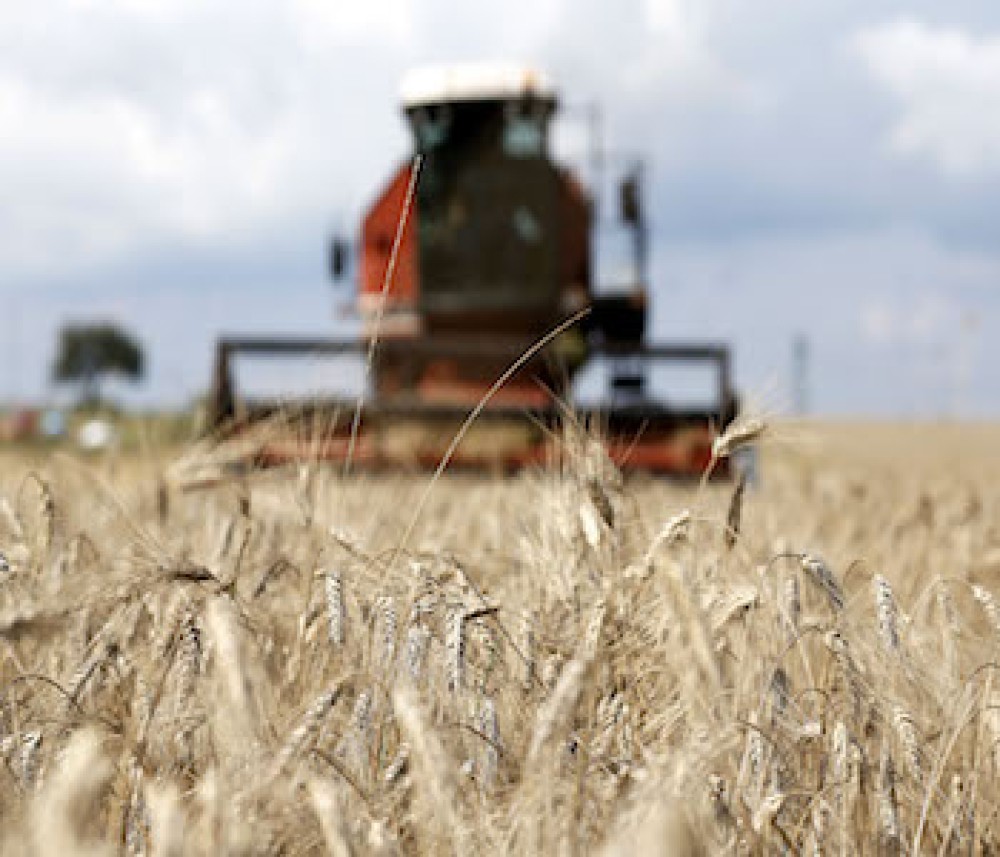 OECD/FAO Agricultural Outlook 2022-2031