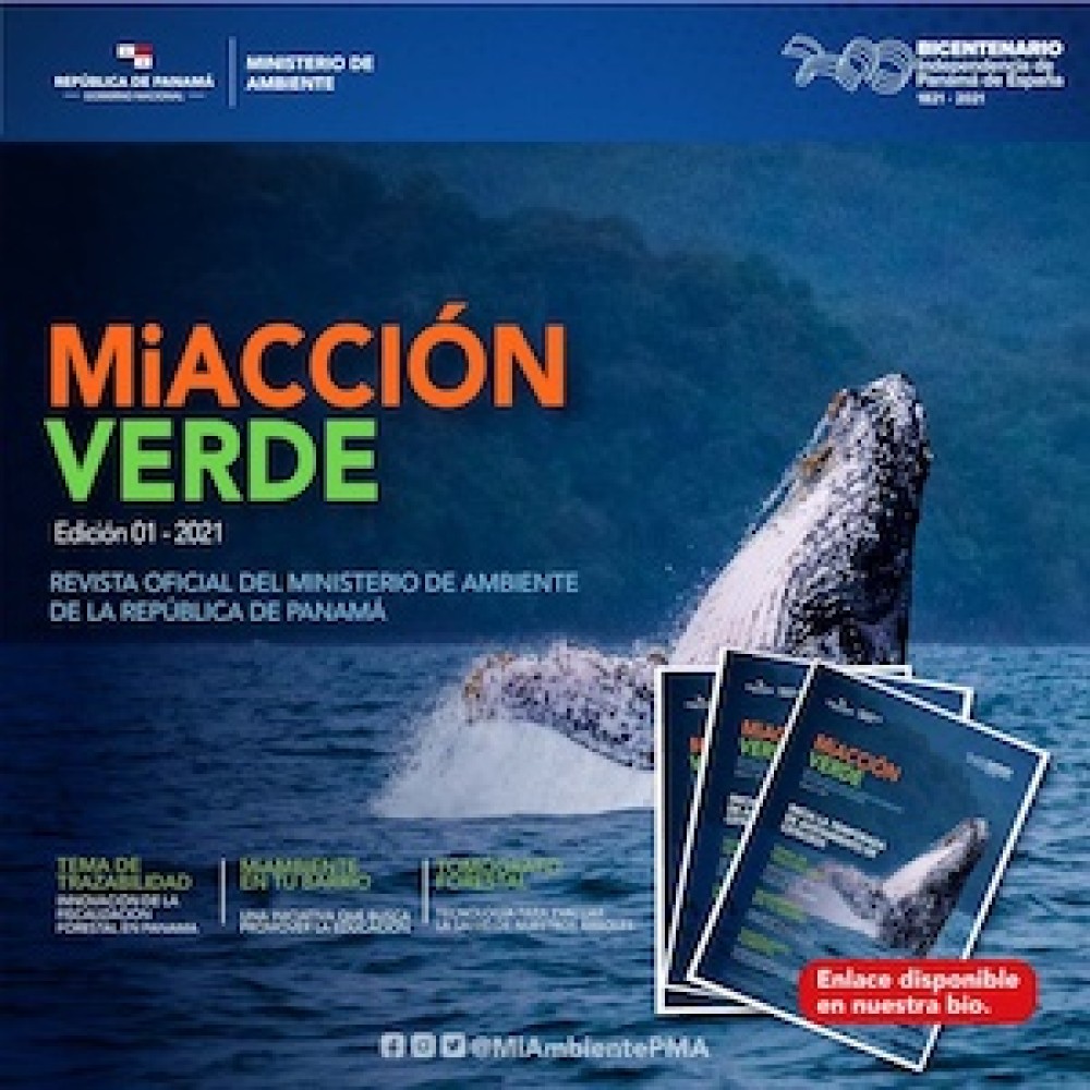 (ES) Revista MiACCIÓN VERDE