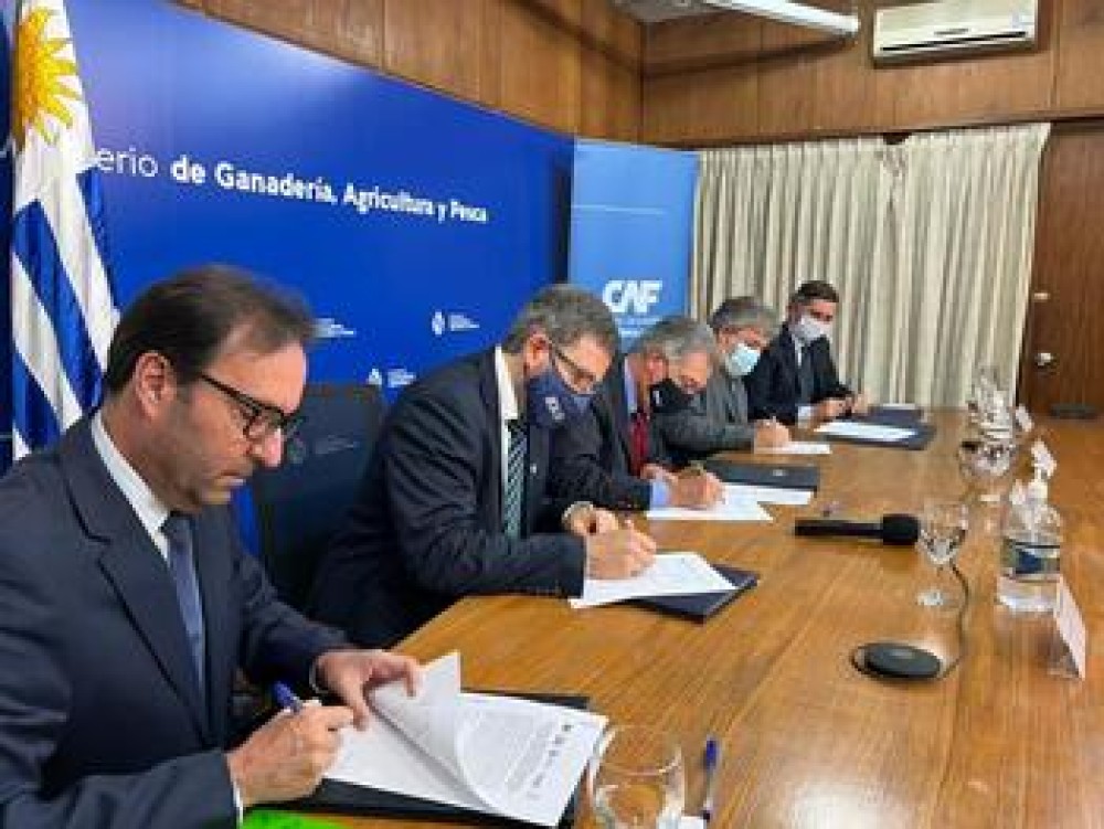 Instituciones vinculadas a la carne ovina firman acuerdo de colaboración para desarrollar soluciones digitales en el sector cárnico