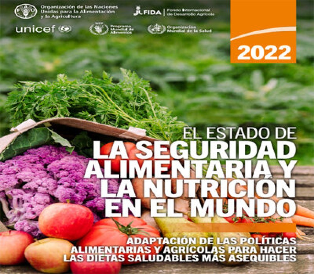 El Estado de la Seguridad Alimentaria y la Nutrición en el Mundo 2022