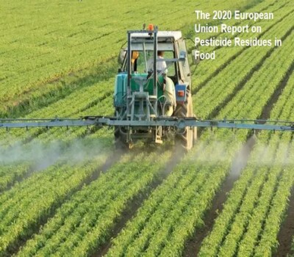 The 2020 European Union Report on Pesticide Residues in Food