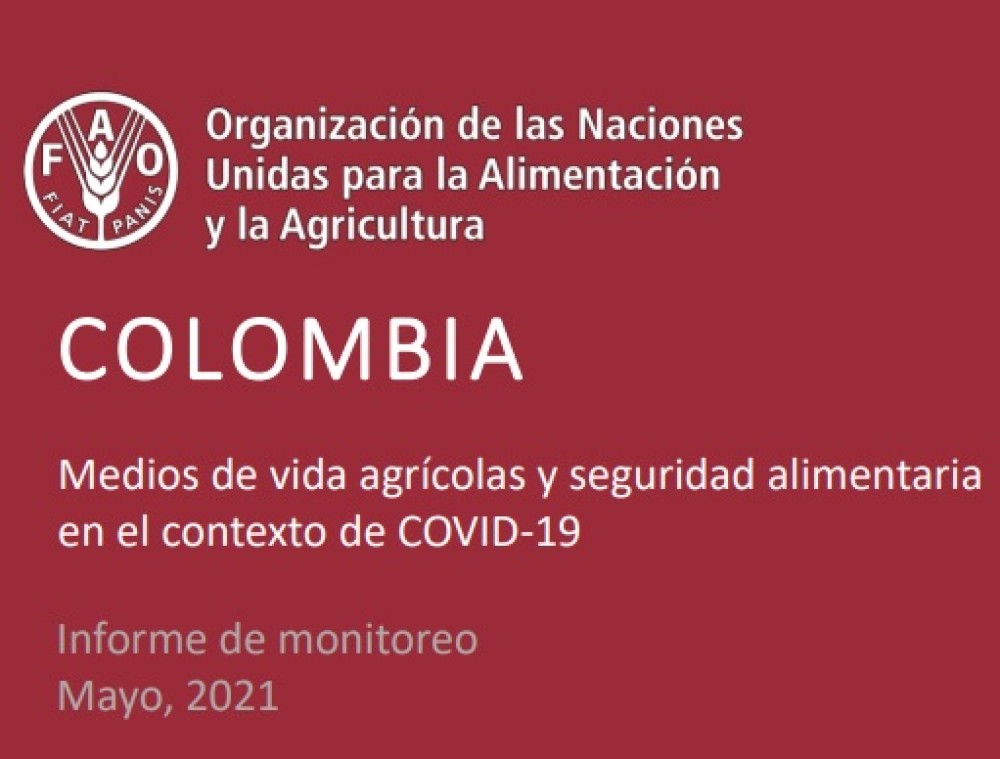 Medios de vida agrícolas y seguridad alimentaria en el contexto de COVID-19