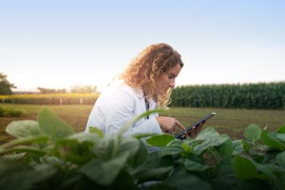 Escenario actual y necesidades para elaborar un programa de agricultura digital inclusiva para América Latina y el Caribe