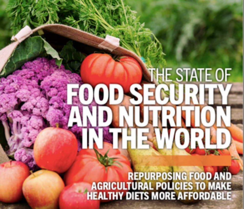 The State of Food Security and Nutrition in the World 2022