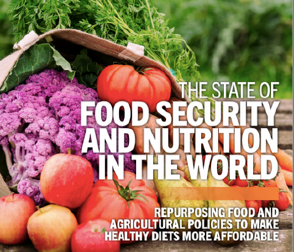 (ES) The State of Food Security and Nutrition in the World 2022