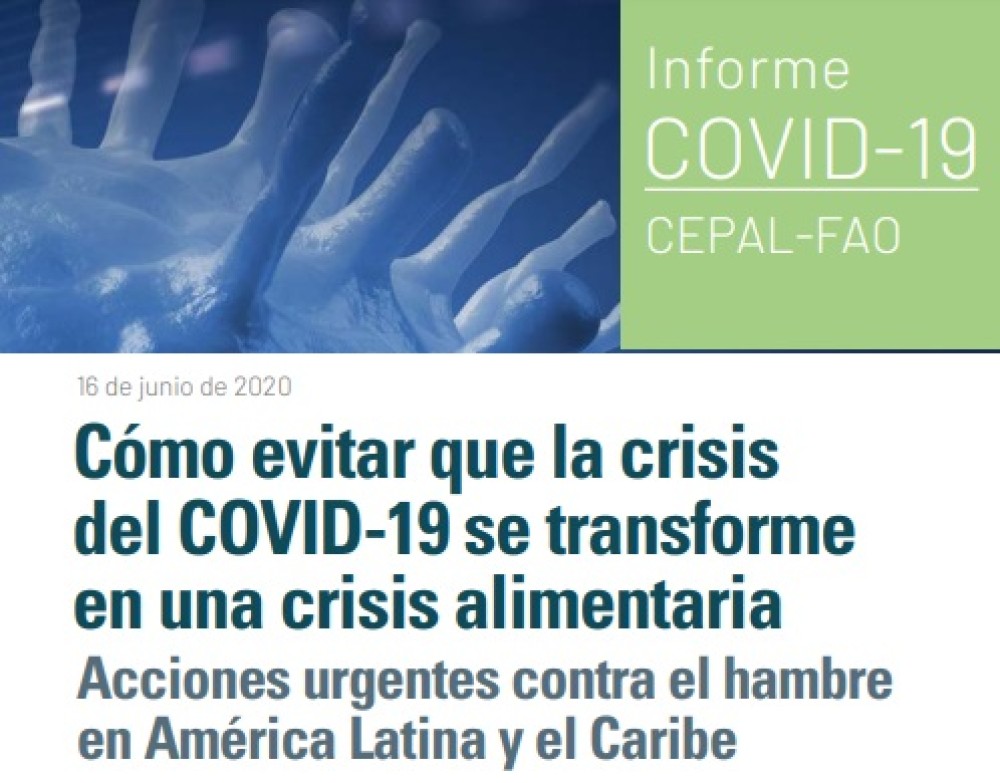 ¿Cómo evitar que la crisis del COVID-19 se transforme en una crisis alimentaria?