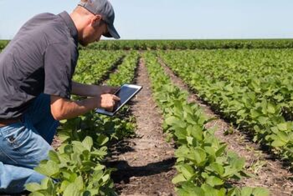 Uruguay mejorará la digitalización del sector agropecuario con apoyo del Banco Interamericano de Desarrollo (BID)