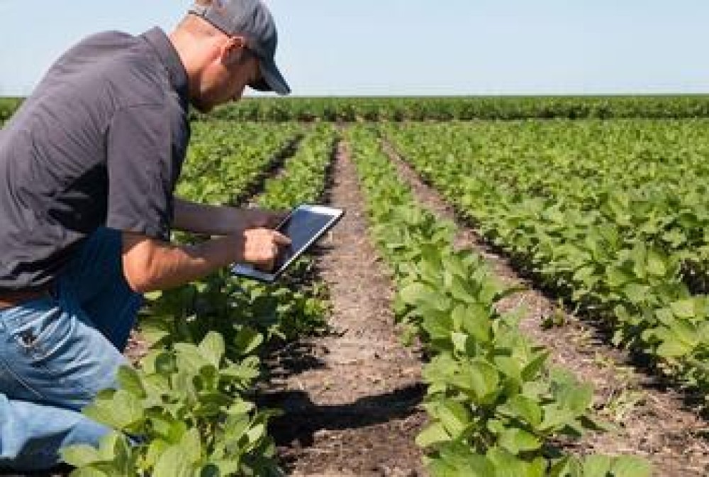 Uruguay to Enhance Digitalization of Agriculture with The Inter-American Development Bank (IDB) Support