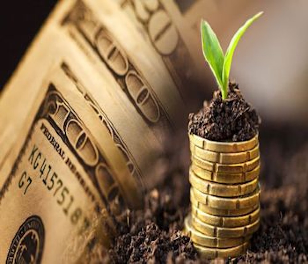 “El panorama más oscuro de la historia”: un informe que constata el enorme pesimismo del campo