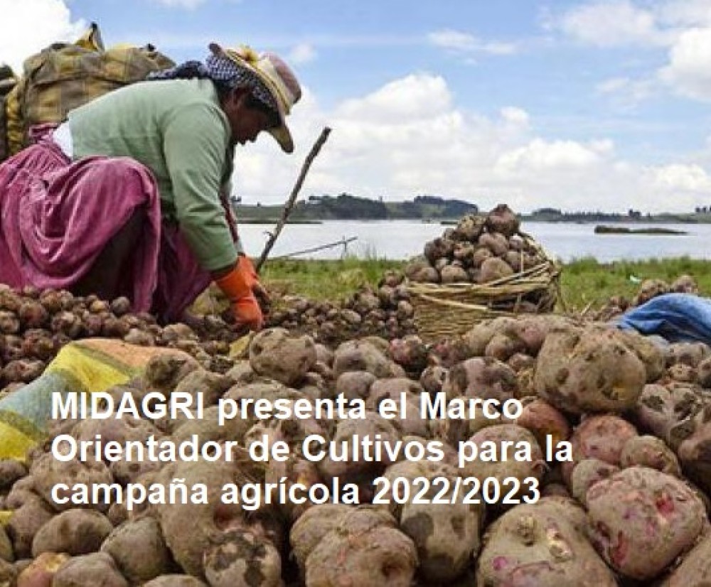 Perú lanza el Marco Orientador de Cultivos (MOC) para la campaña agrícola 2022/2023